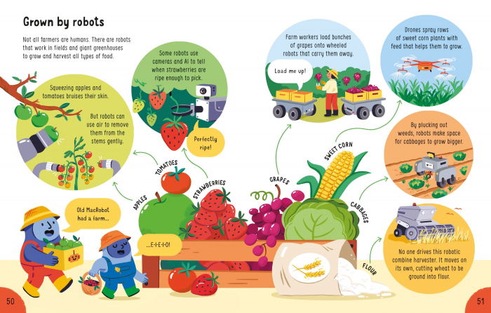 9781805074427 Usborne Lots of Things to Know About Robots [4]