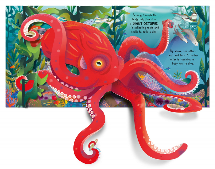 9781805072942 Usborne Pop-up Ocean  [3]