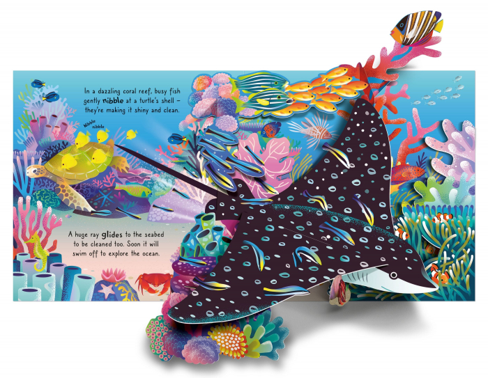 9781805072942 Usborne Pop-up Ocean  [2]