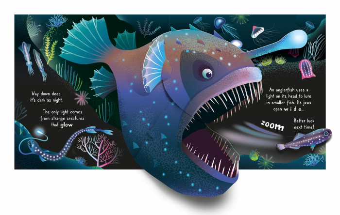 9781805072942 Usborne Pop-up Ocean  [4]