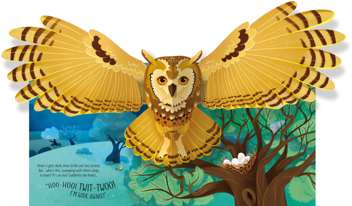 9781474986045 Usborne Pop-up Birds [4]