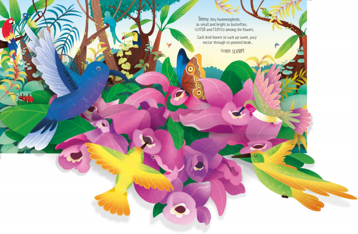 9781474986045 Usborne Pop-up Birds [2]