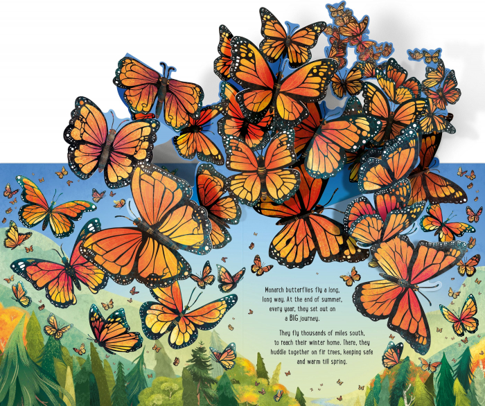 9781474992336 Usborne Pop-up Butterflies [6]
