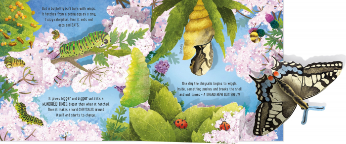 9781474992336 Usborne Pop-up Butterflies [3]