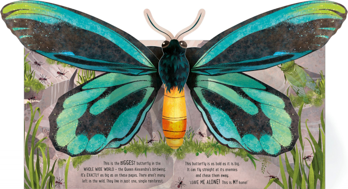 9781474992336 Usborne Pop-up Butterflies [4]