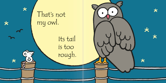 9781409587583 Usborne That's not my owl [3]