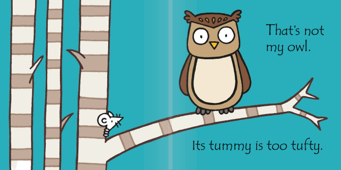 9781409587583 Usborne That's not my owl [2]