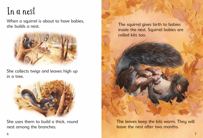 9781474979351 Usborne Beginners Baby Animals [3]