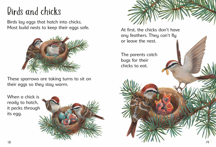 9781474979351 Usborne Beginners Baby Animals [5]