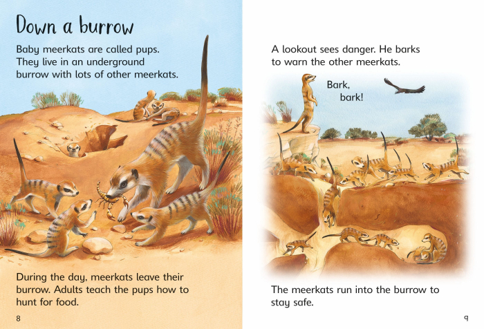 9781474979351 Usborne Beginners Baby Animals [4]
