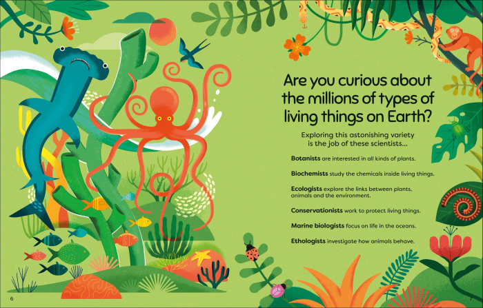 9781474969024 Usborne What Do Scientists Do? [2]