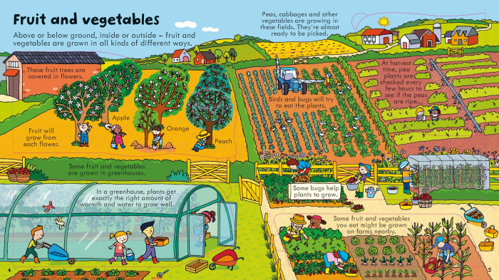 9781409582069 Usborne Look Inside Food [2]