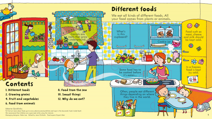 9781409582069 Usborne Look Inside Food [3]