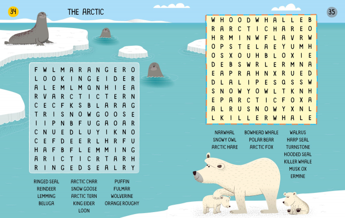 9781801312073 Usborne 100 Children's Wordsearches: Animals [3]