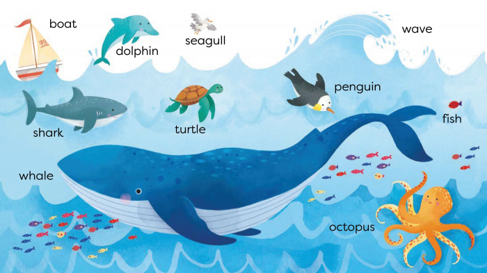 9781474982337 Usborne First Words Book [3]