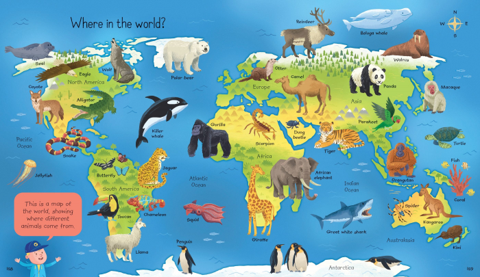 9781474968683  Usborne My First Encyclopedia [5]