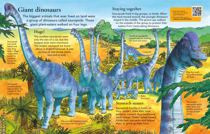 9781836044871 Usborne First Encyclopedia of Dinosaurs [6]