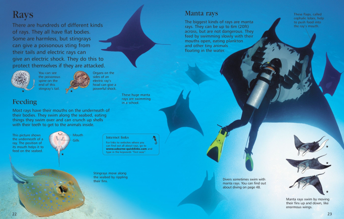 9781409525073 Usborne First Encyclopedia of Seas and Oceans [5]