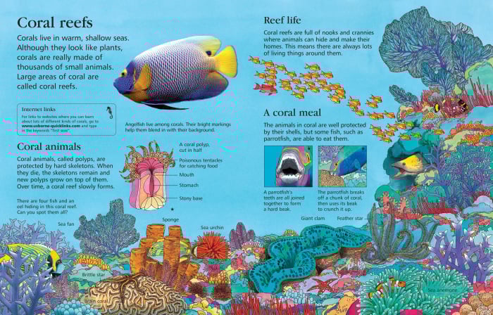 9781409525073 Usborne First Encyclopedia of Seas and Oceans [3]