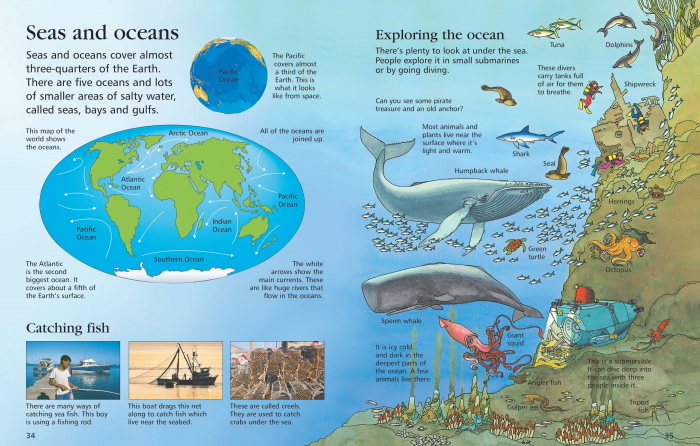 9781409514305 Usborne First Encyclopedia of Our World [3]