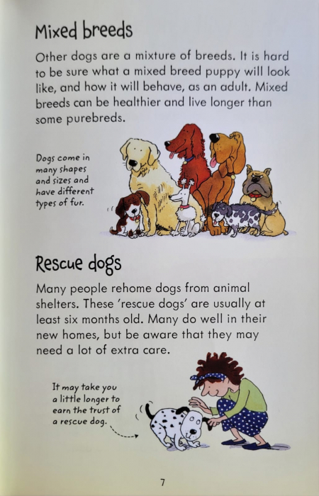 9781409532408 Usborne Looking after Dogs and Puppies [6]
