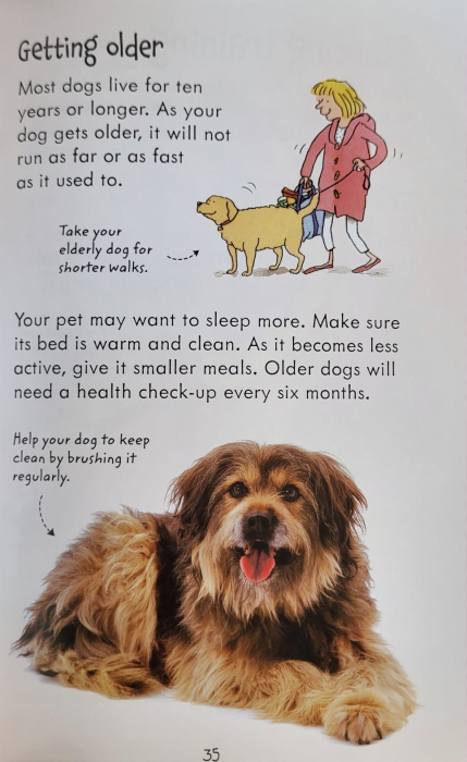 9781409532408 Usborne Looking after Dogs and Puppies [7]