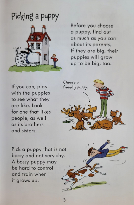 9781409532408 Usborne Looking after Dogs and Puppies [3]