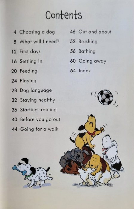 9781409532408 Usborne Looking after Dogs and Puppies [2]