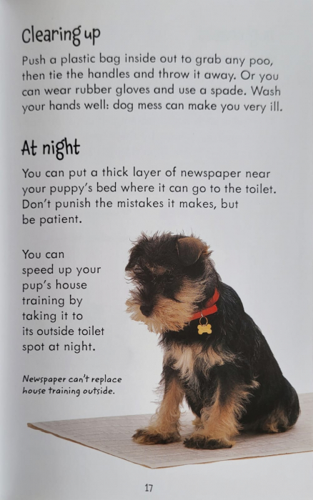 9781409532408 Usborne Looking after Dogs and Puppies [4]