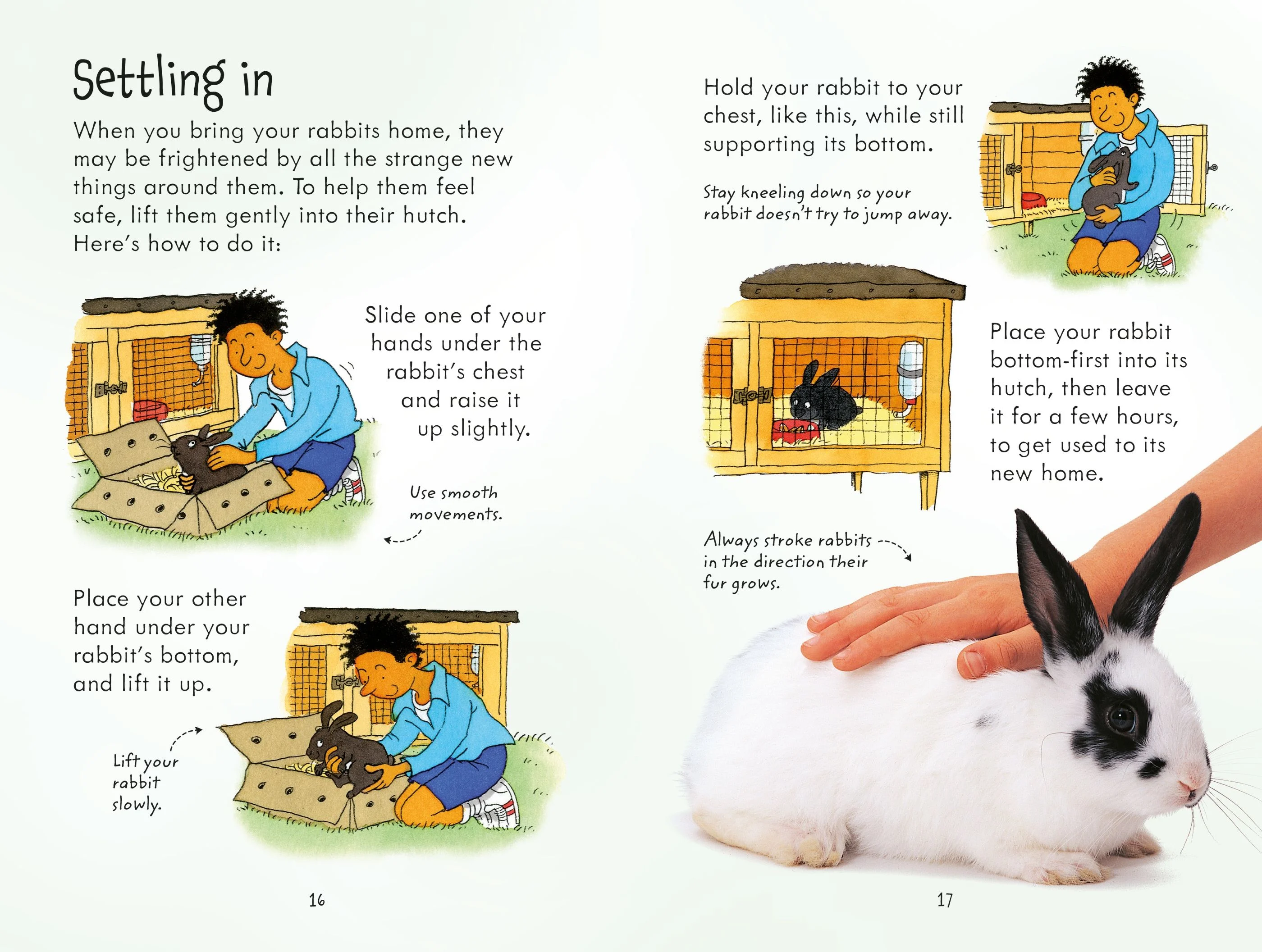 9781409532439 Usborne Looking after Rabbits [6]
