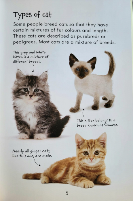 9781409532422 Usborne Looking after Cats and Kittens [3]