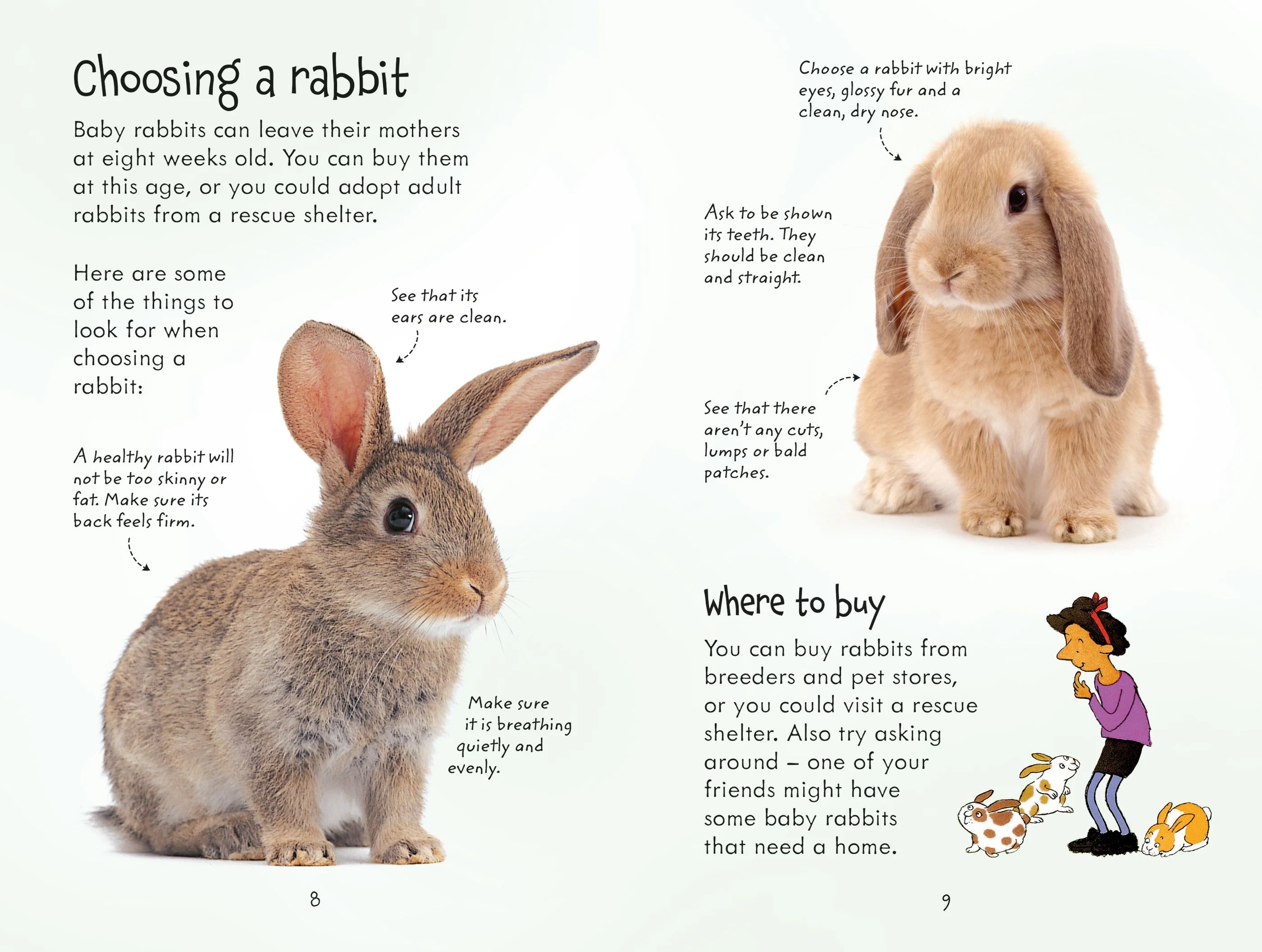 9781409532439 Usborne Looking after Rabbits [4]