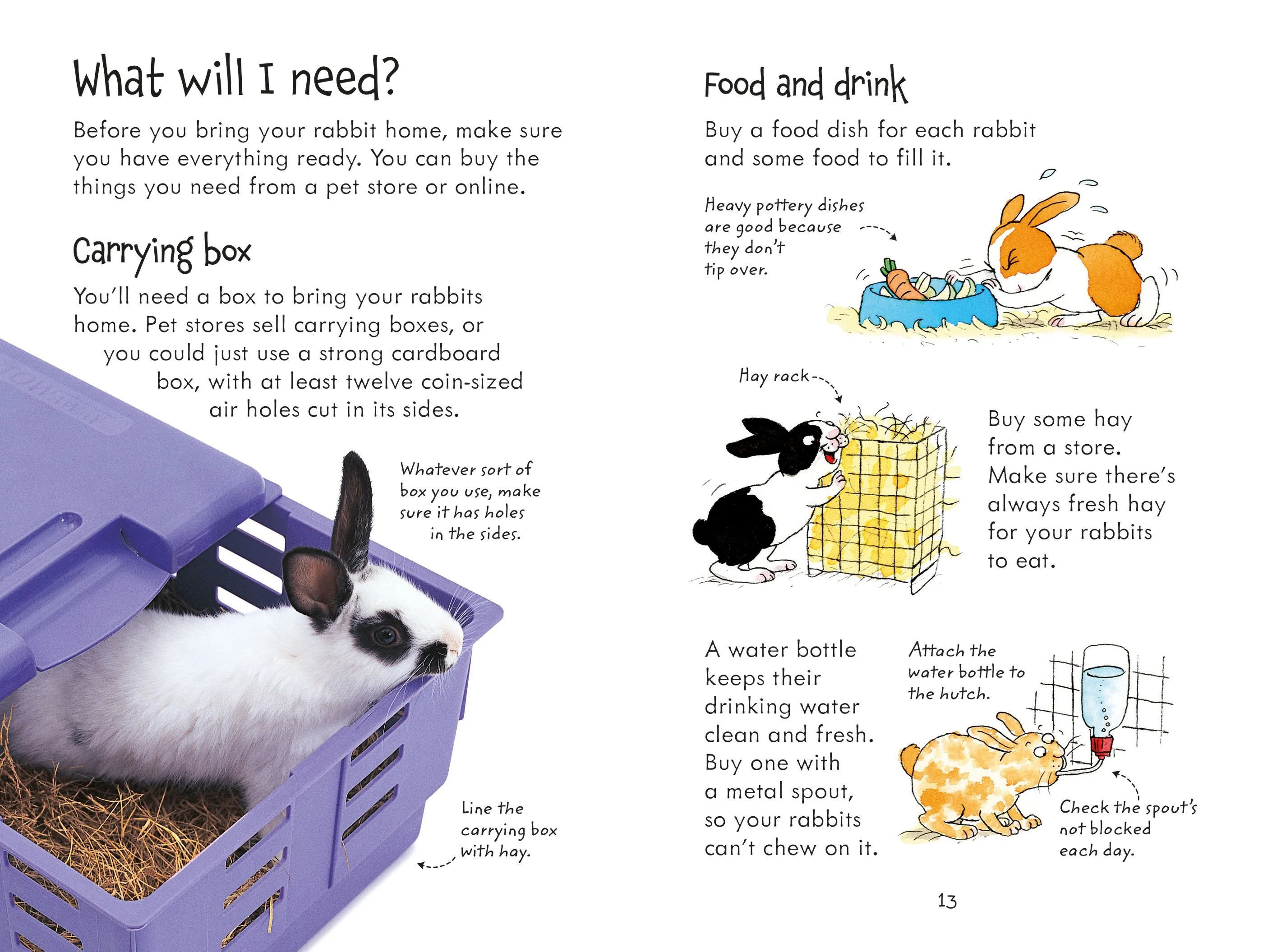 9781409532439 Usborne Looking after Rabbits [5]