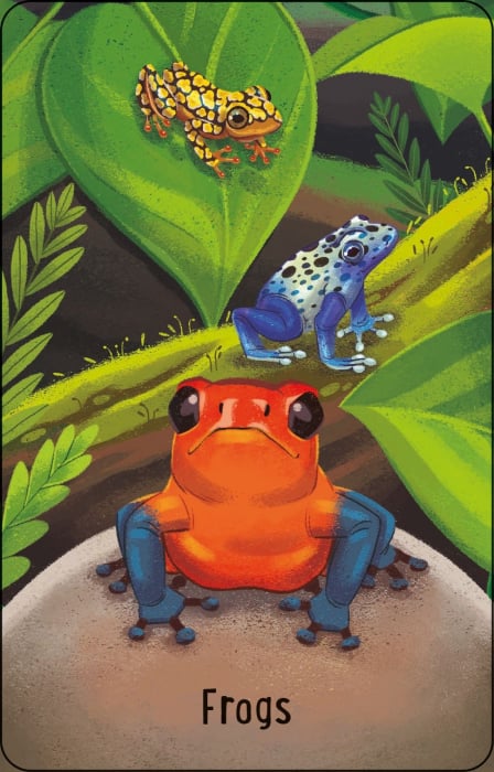 9781801319607 Usborne Zoo Snap [4]