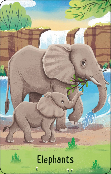 9781801319607 Usborne Zoo Snap [2]