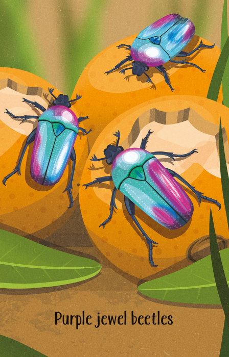 9781474991544 Usborne Bugs Snap [3]