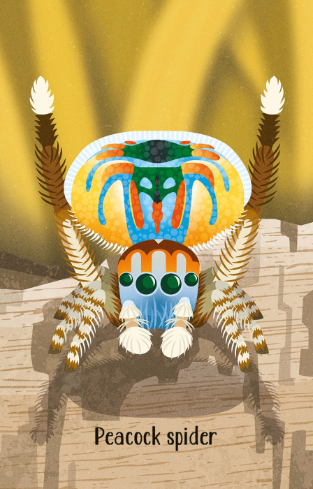 9781474991544 Usborne Bugs Snap [4]