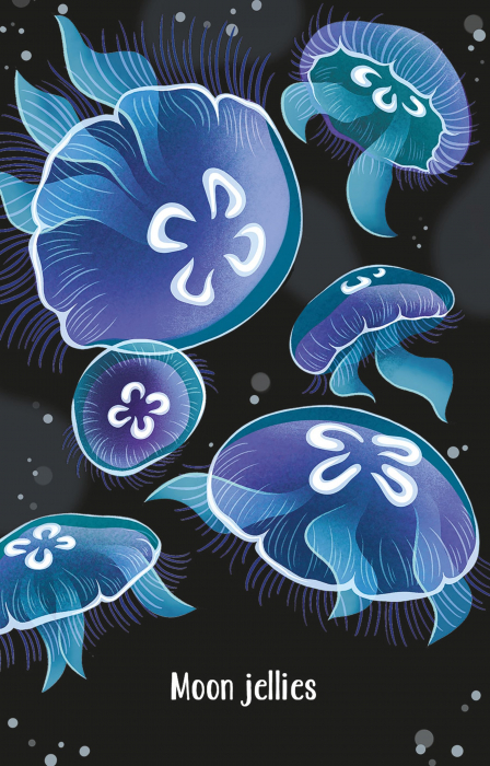 9781474991537 Usborne Aquarium Snap [4]