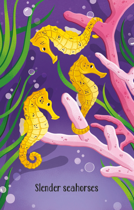 9781474991537 Usborne Aquarium Snap [3]