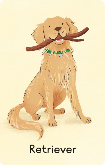 9781836040910 Usborne Dogs Snap [4]