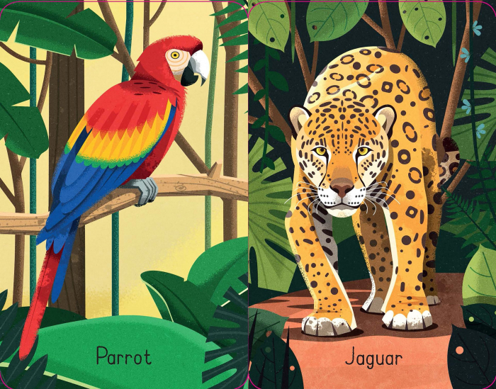 9781474956802 Usborne Jungle Snap [2]