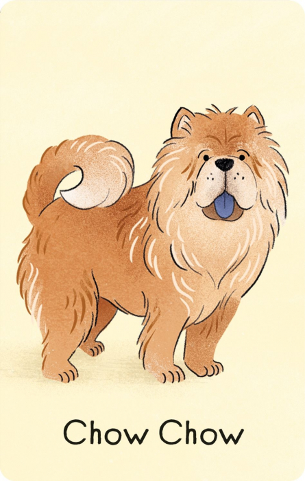 9781836040910 Usborne Dogs Snap [5]