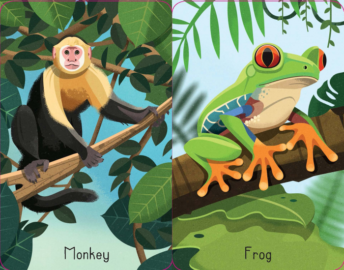 9781474956802 Usborne Jungle Snap [4]