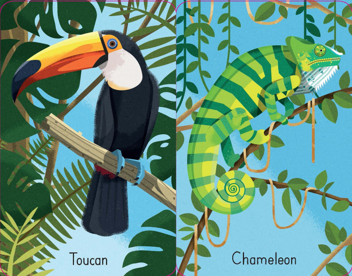 9781474956802 Usborne Jungle Snap [3]