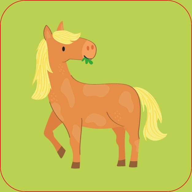 9781803706924 Farm Matching Games [3]