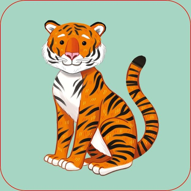 9781805312284 Zoo Matching Games [3]