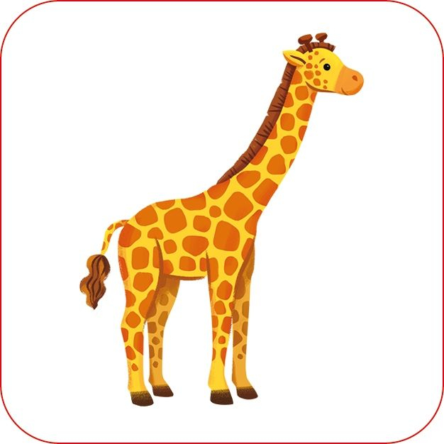 9781805312284 Zoo Matching Games [4]