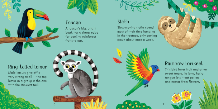 9781805312284 Zoo Matching Games [6]