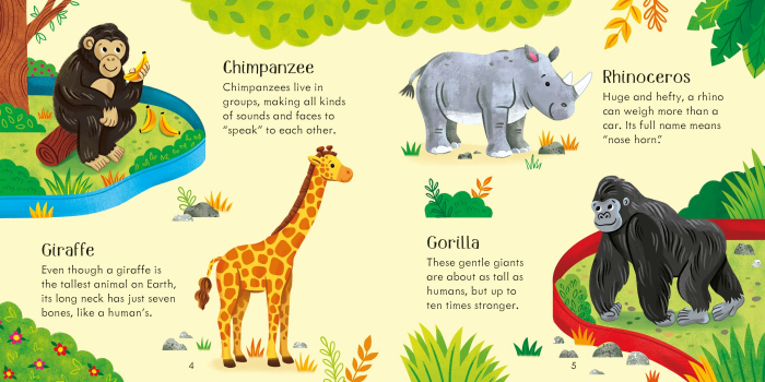 9781805312284 Zoo Matching Games [8]
