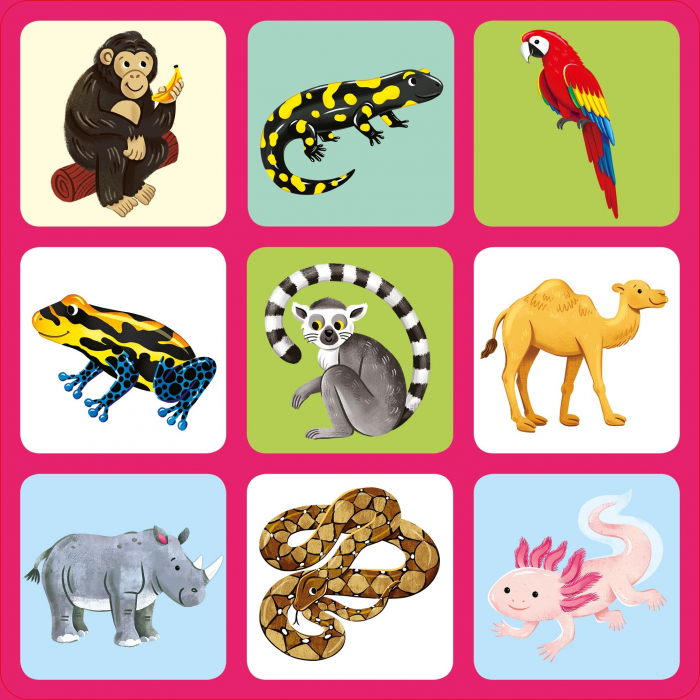 9781805312284 Zoo Matching Games [2]